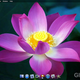 Illustration for article titled Could This Be a Mac OS X Lion Screenshot?